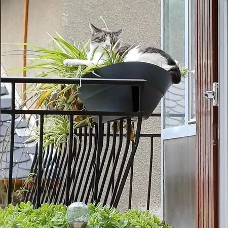 Ma En Lozere, Independante & Patio 